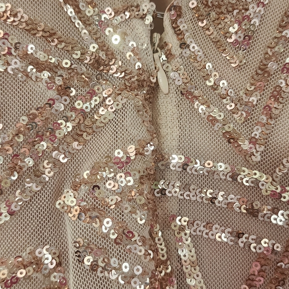 BLUEBELL COLLECTION Plus Gold sequined lined dress - Picture 4 of 7